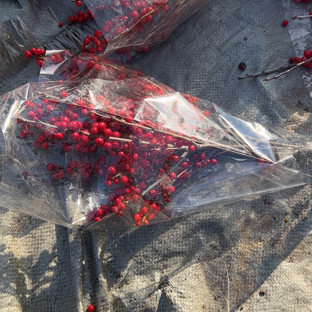 顺****完全开放粉丝福利