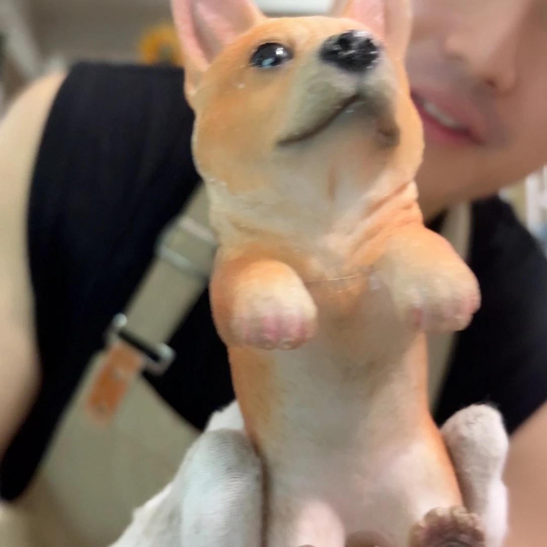 核桃木/黑胡桃（胡桃木）