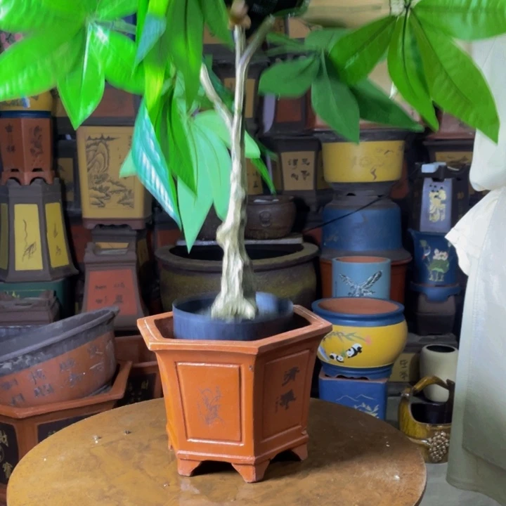 宜兴紫砂25红清雅六方