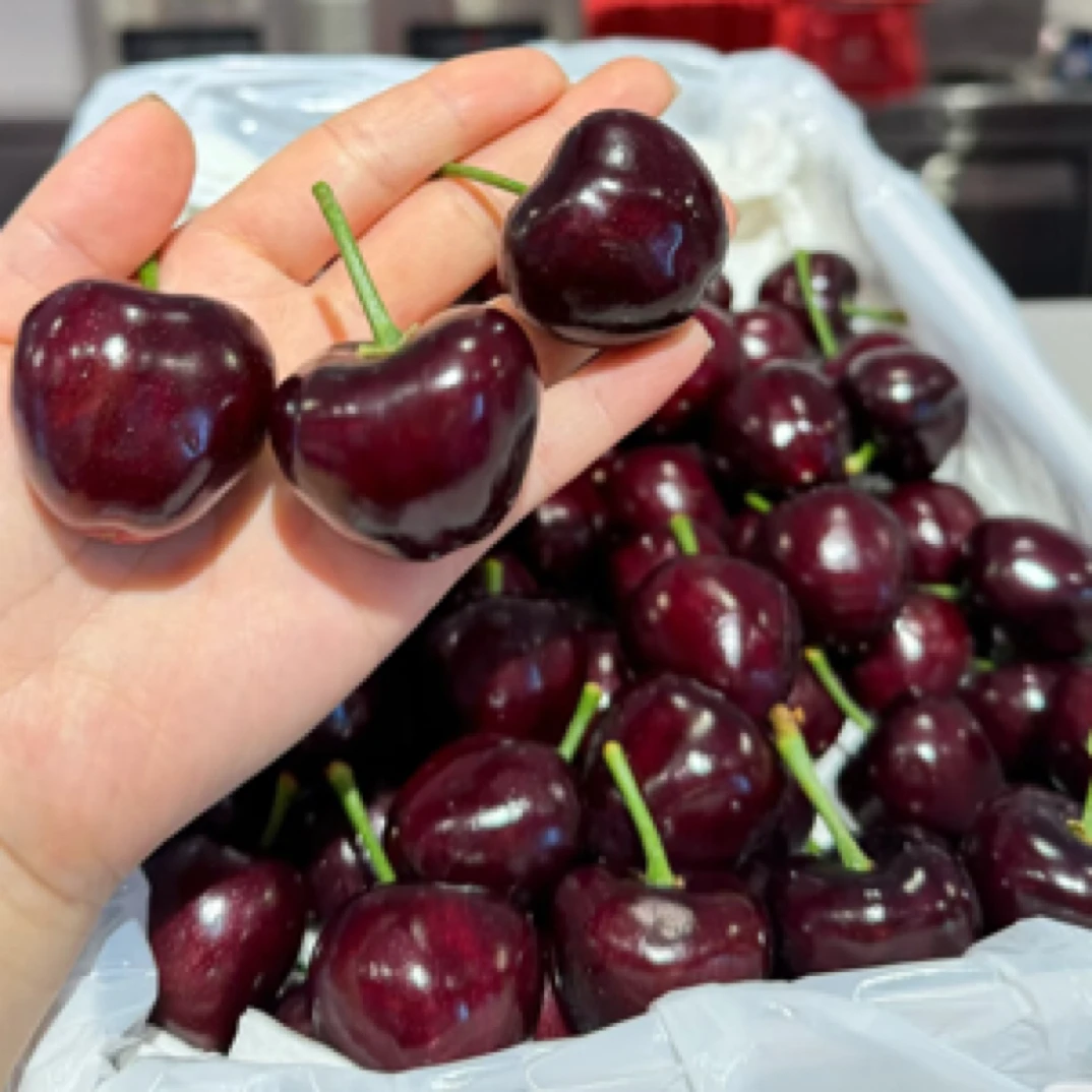 国产脆甜车厘子一斤装3J加大美早