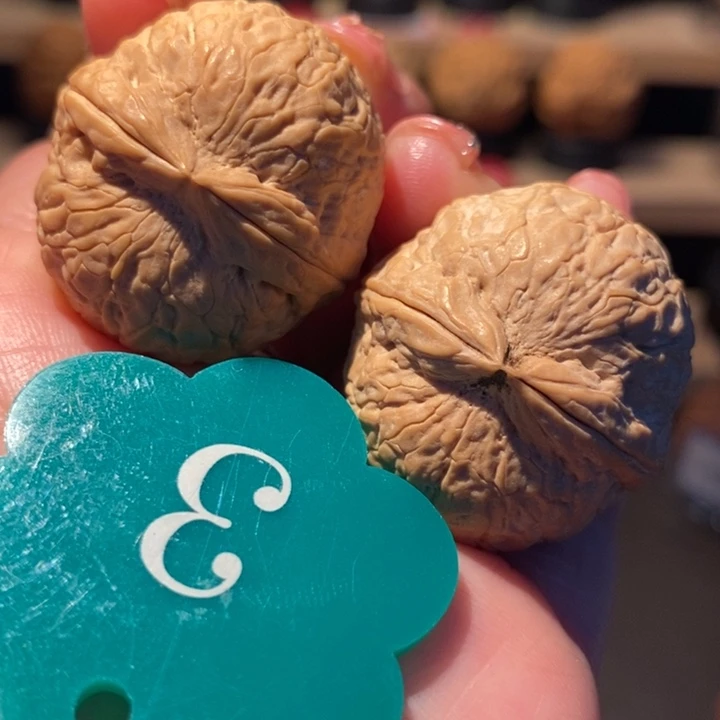 木质类粗筋棒棒糖31尺寸