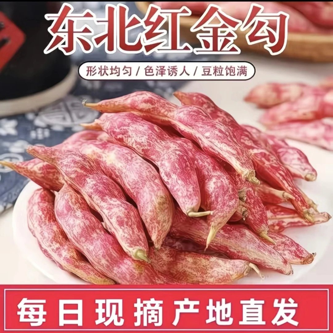 东北吉林新鲜红金钩豆角 豆多皮薄现采摘现发货