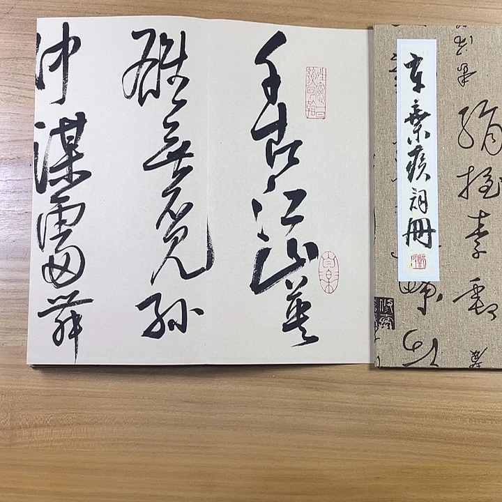 书法中书协会员作品