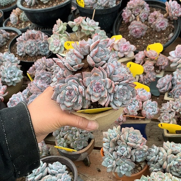 哈哈哈哈哈哈哈哈哈10