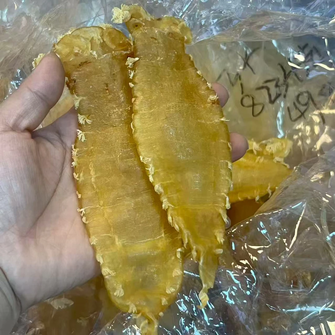 晓德鱼胶“刺花赤嘴胶”代拍链接（具体克重按直播现场称重为准）