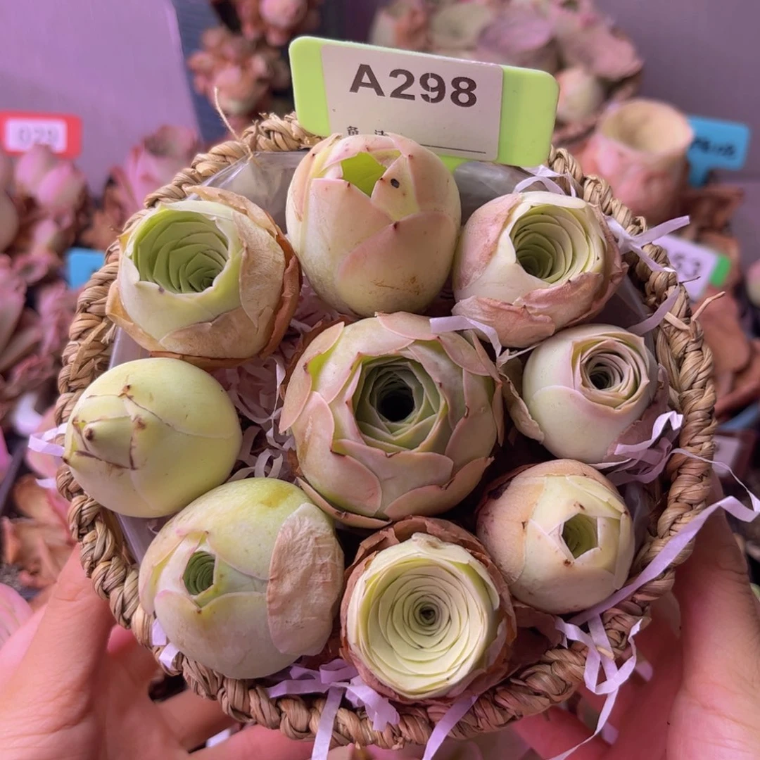 福利花篮一物一拍A298 9颗带篮