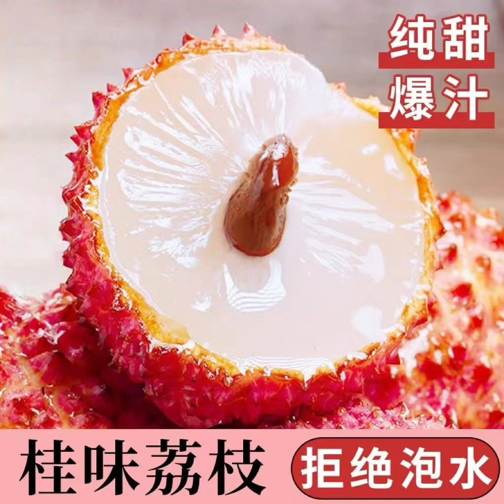 【桂味荔枝-现货】广东老树荔枝 现摘直发 纯甜多汁 新鲜水果