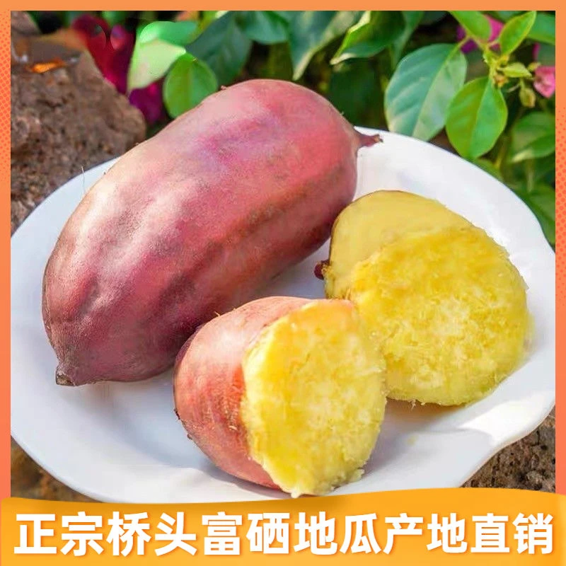 海南澄迈桥头沙地富硒地瓜装板栗薯红薯蜜薯包邮