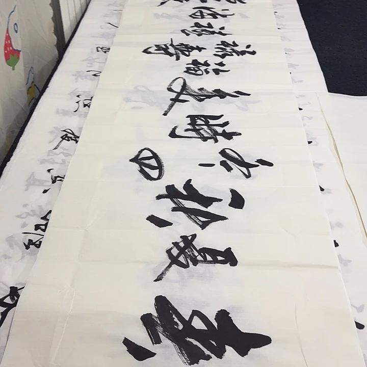 书法老师精品行书