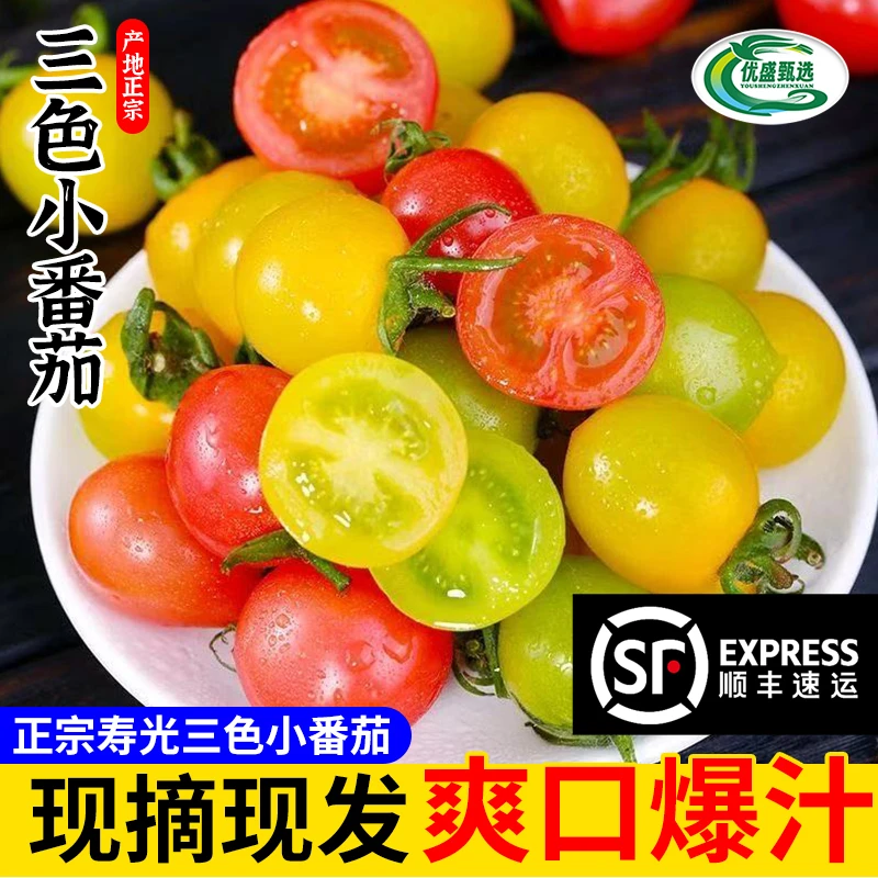 （顺丰包邮）山东现摘三色黄樱桃小番茄千禧青甜迷恋圣女果新鲜