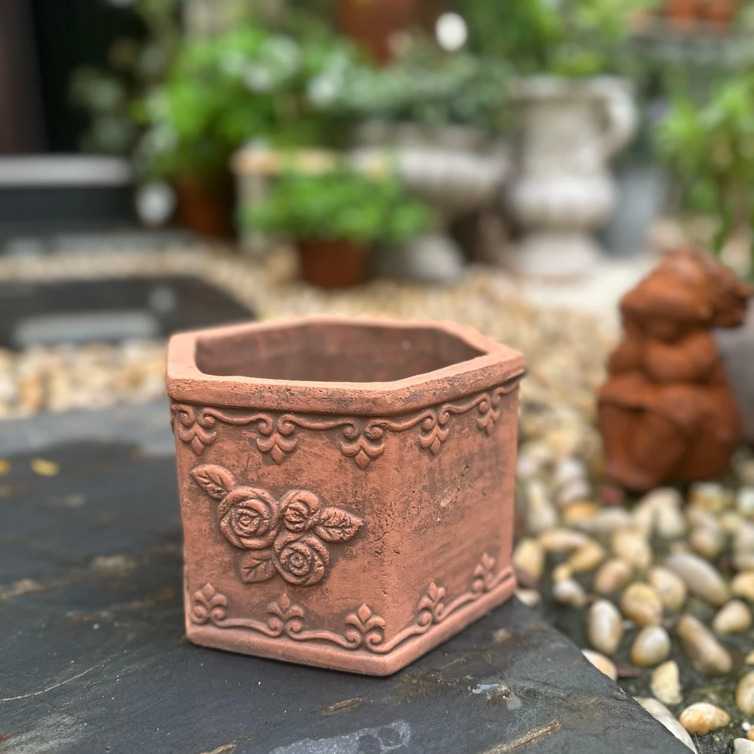 【南乔花园】复古陶盆六角玫瑰花边盆