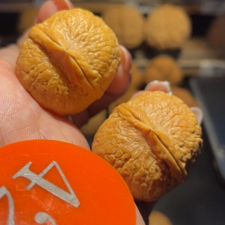 龙珠核桃核桃尺寸31