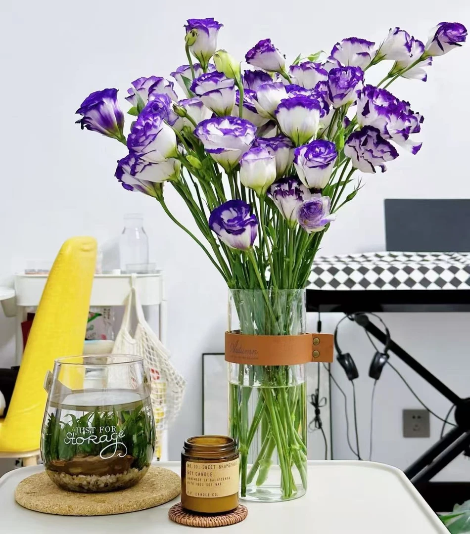 【紫边洋桔梗】云南优选鲜切花昆明基地直发家用插花节日