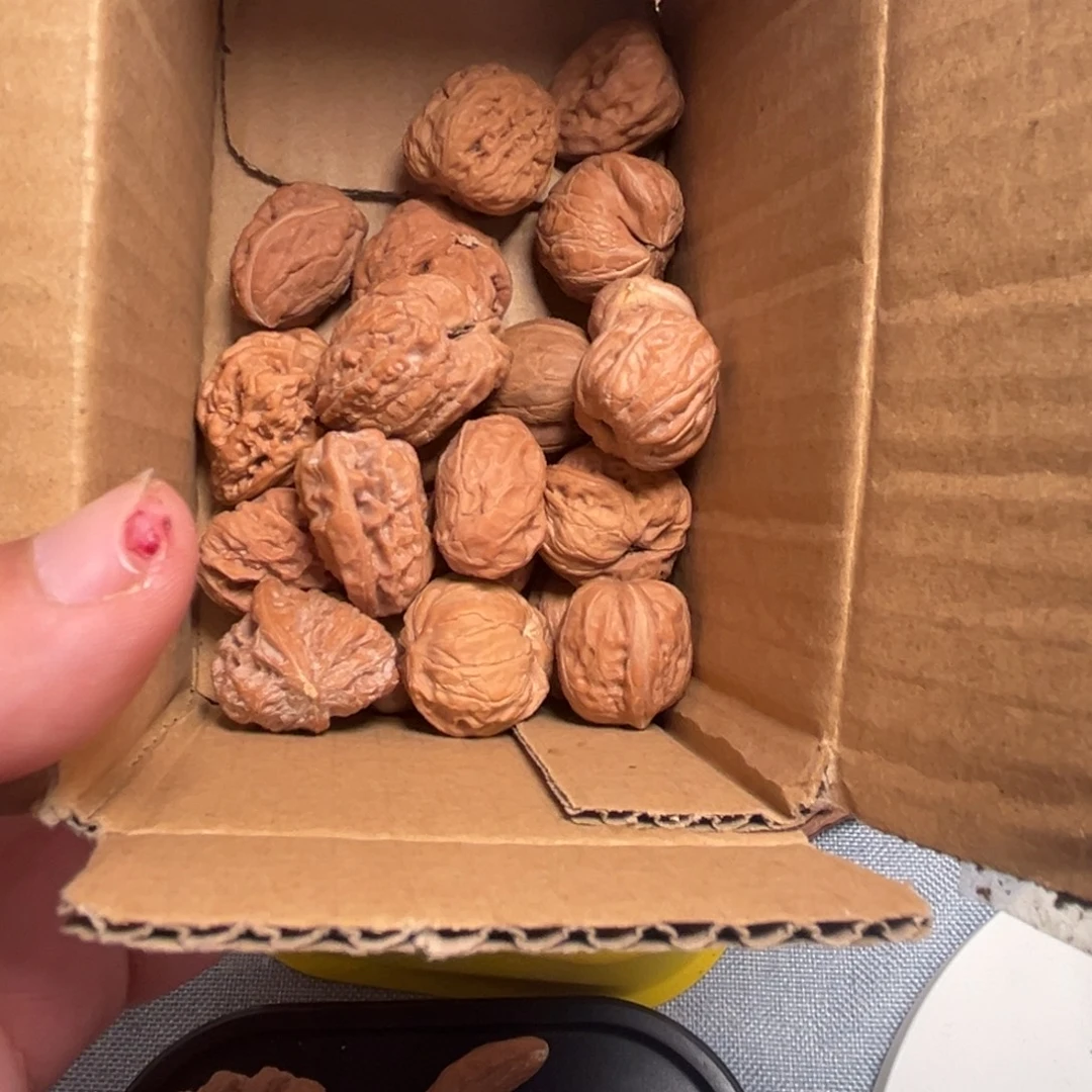 般***蜜核桃核桃核桃核桃