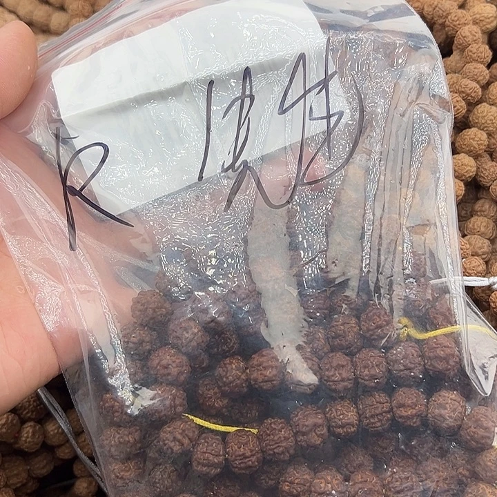 R***生手串金刚菩提树魔