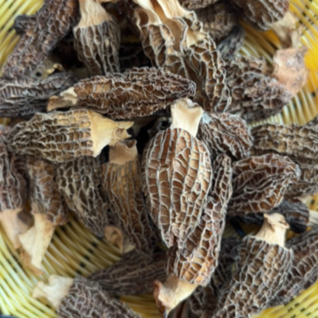 正宗四川高山野生剪脚羊肚菌干货自然晒干煲汤美味