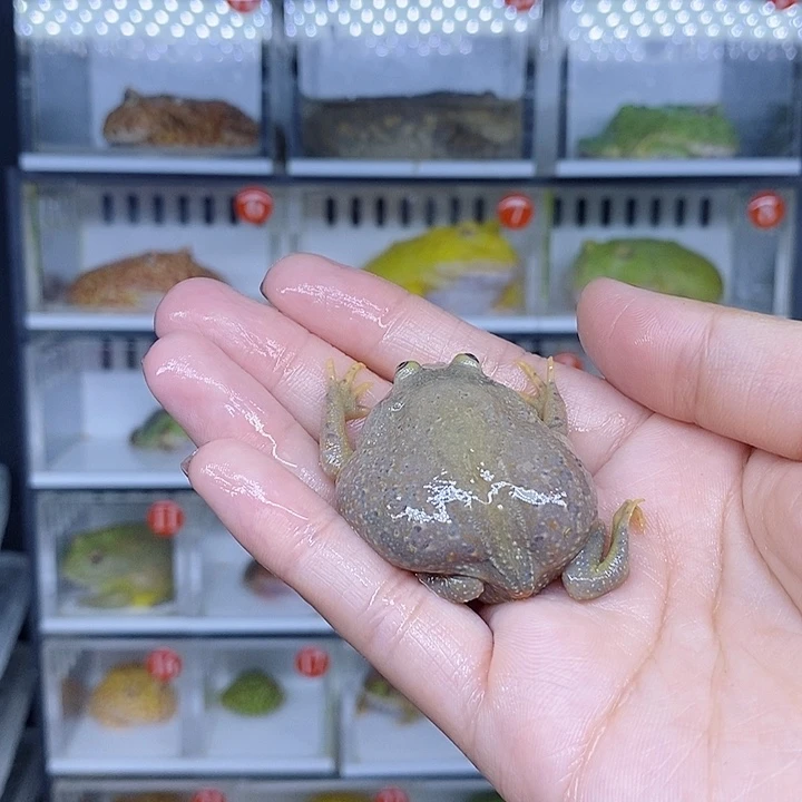 特价秒杀现货特价