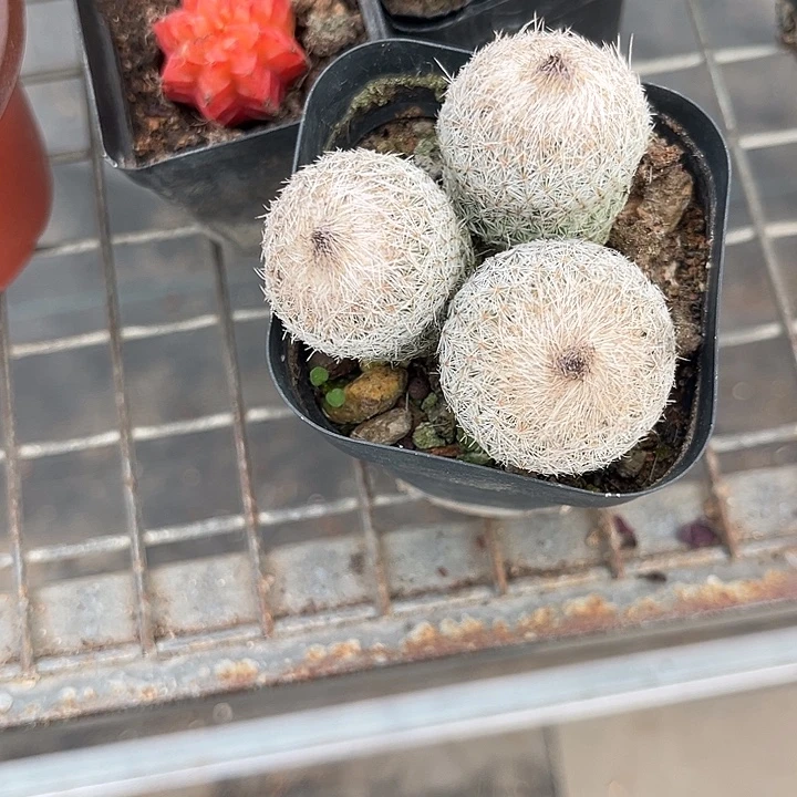 人***~我也不知道我为什么要这样