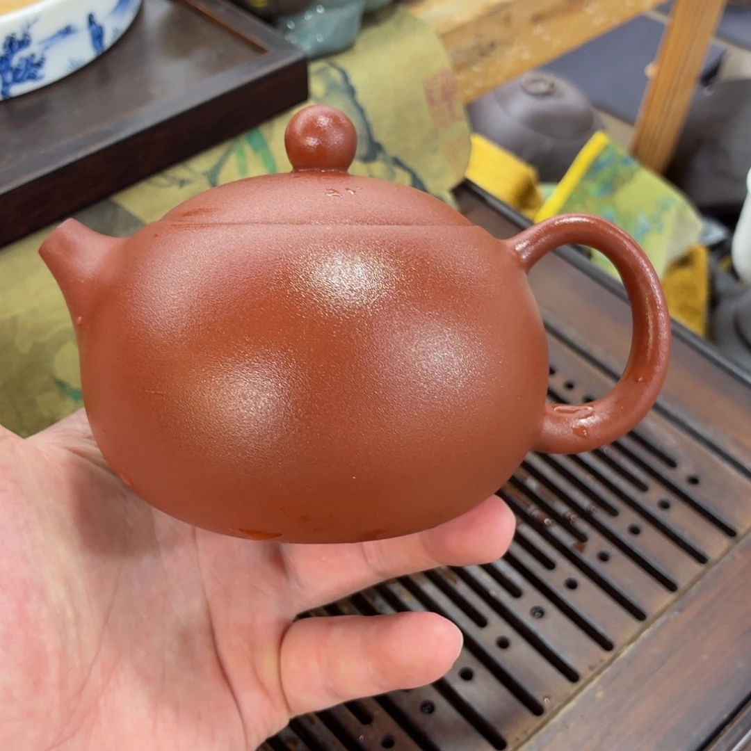 紫砂茶壶壶哈哈哈哈哈哈