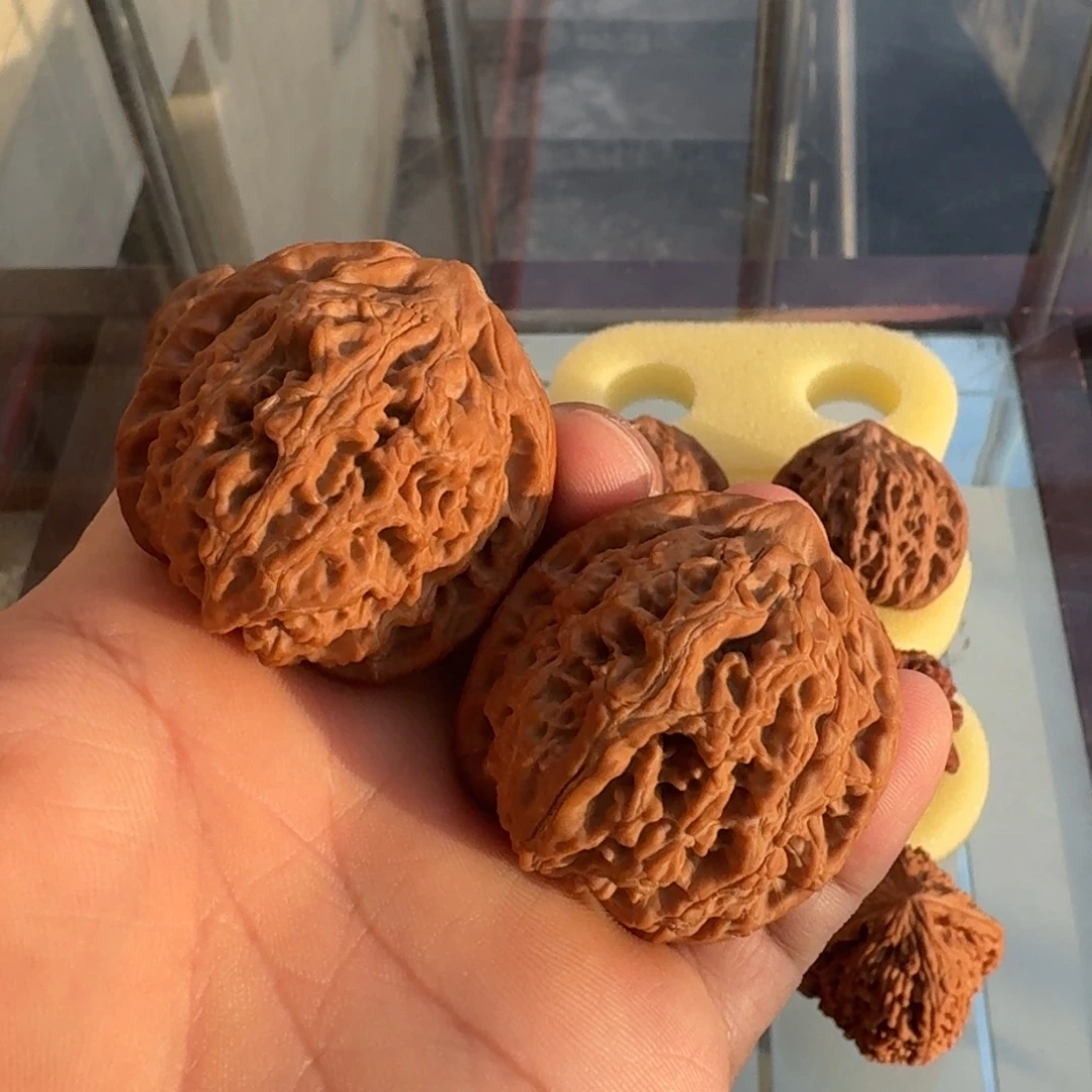 沧***足核桃文玩核桃水龙纹43