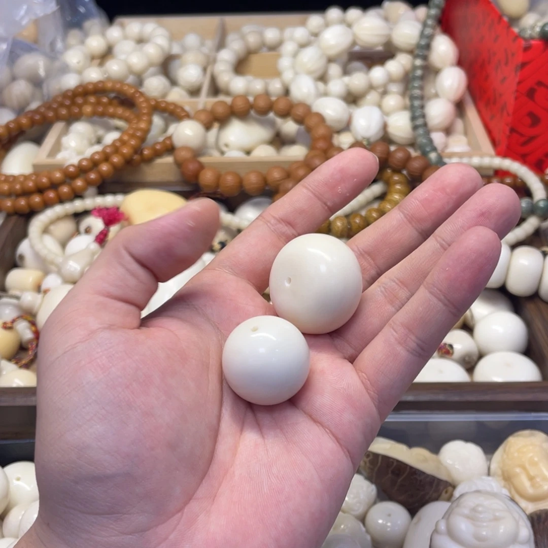 *****菩提根/象牙果吊坠