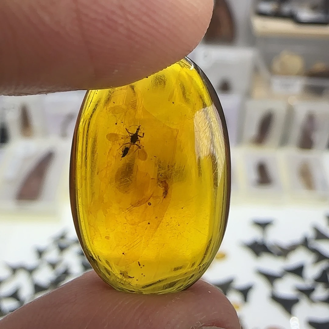 有机玻璃琥破虫破