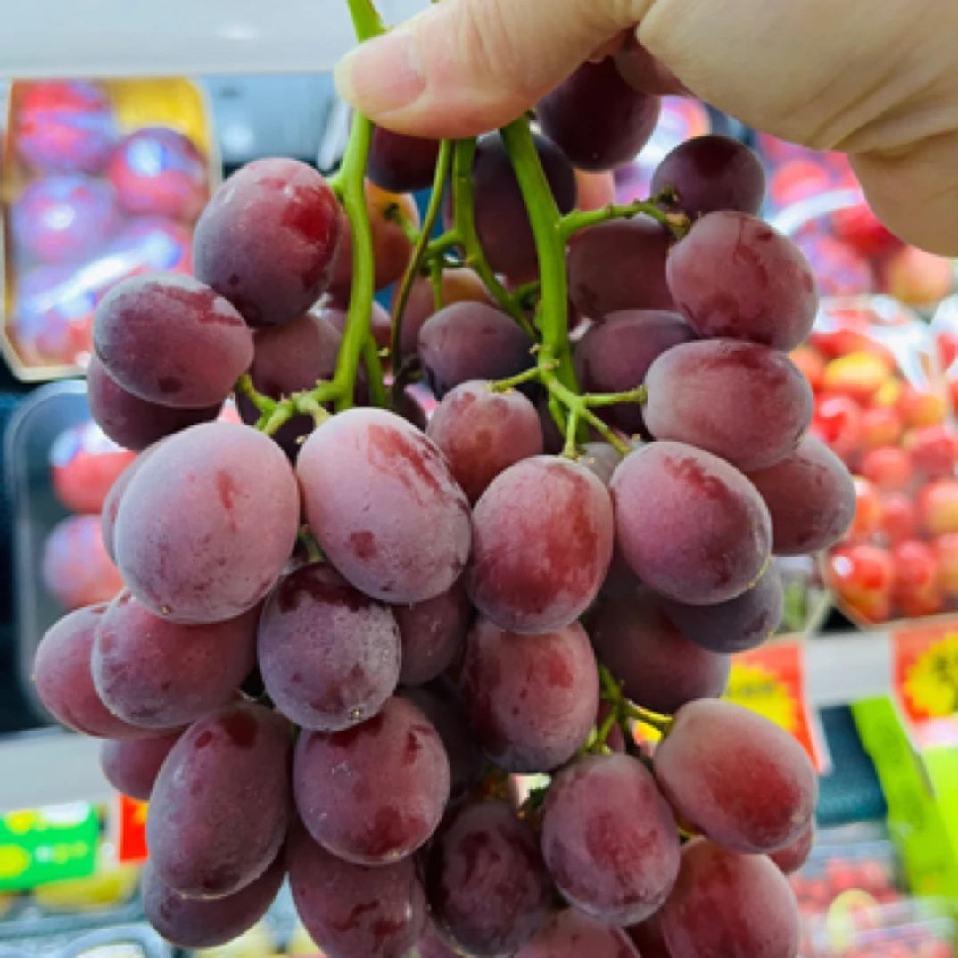 【嘎嘣脆甜】香水提 入口爽脆葡萄，甜蜜多汁品不用吐籽，不用吐皮500g智利