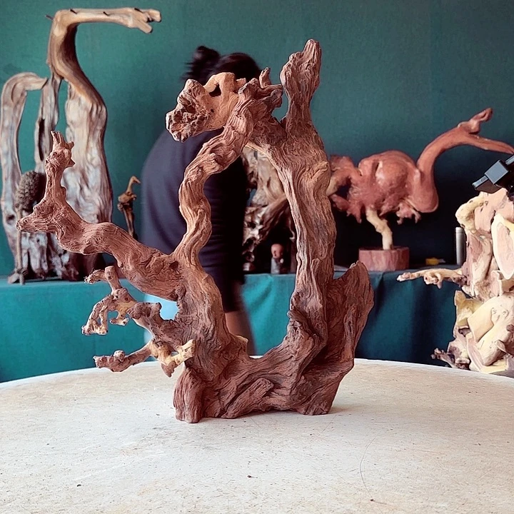 黑果木九*玖534金丝红木羊蹄甲半成品