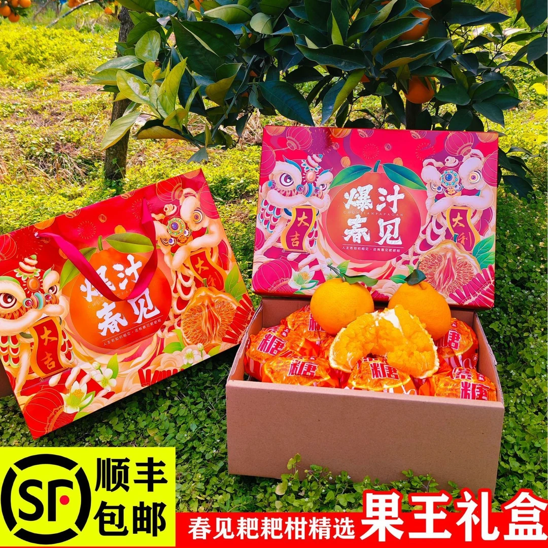 【春节年货礼盒】春见耙耙柑高端礼盒装精选果王送礼必备品顺丰包邮