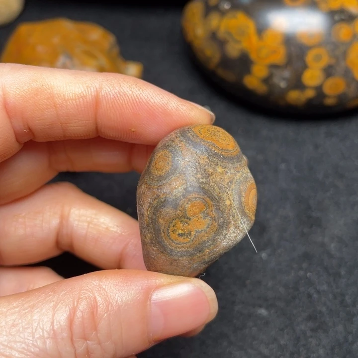 石材九眼页岩钱币石原石140