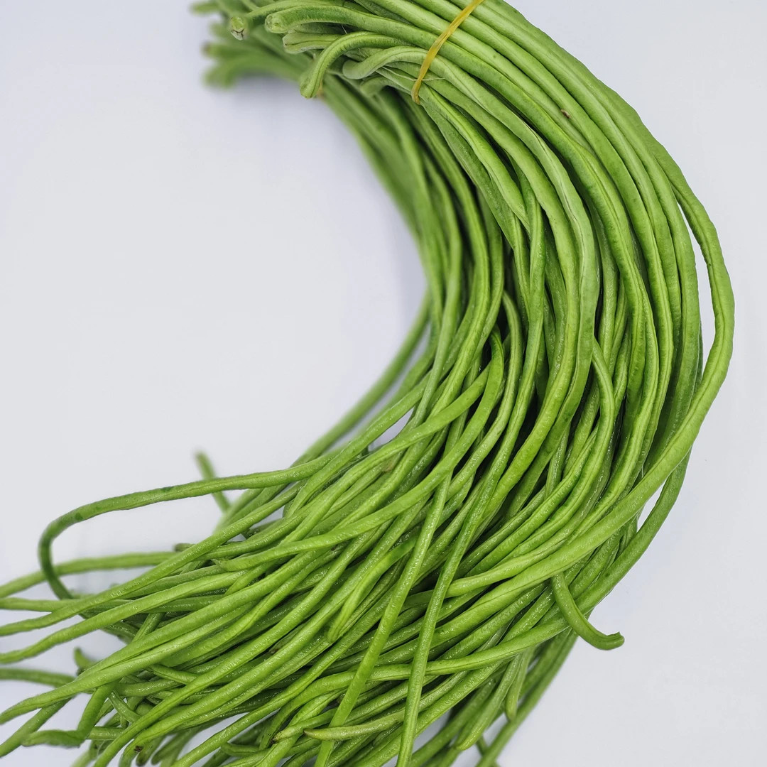 现摘新鲜长豆角豇豆可腌制酸豆角的蔬菜农家蔬菜四川泡菜原料