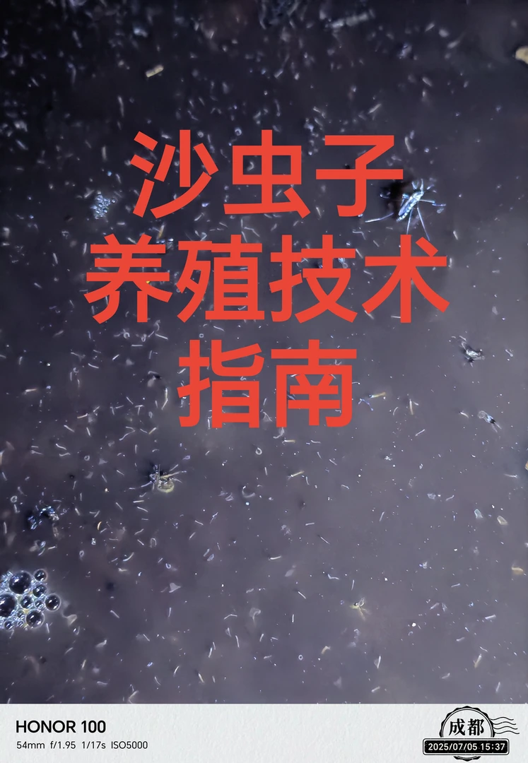 沙虫子养殖技术/沙虫子养殖教程/初级入门/A4纸质版/包出虫无售后