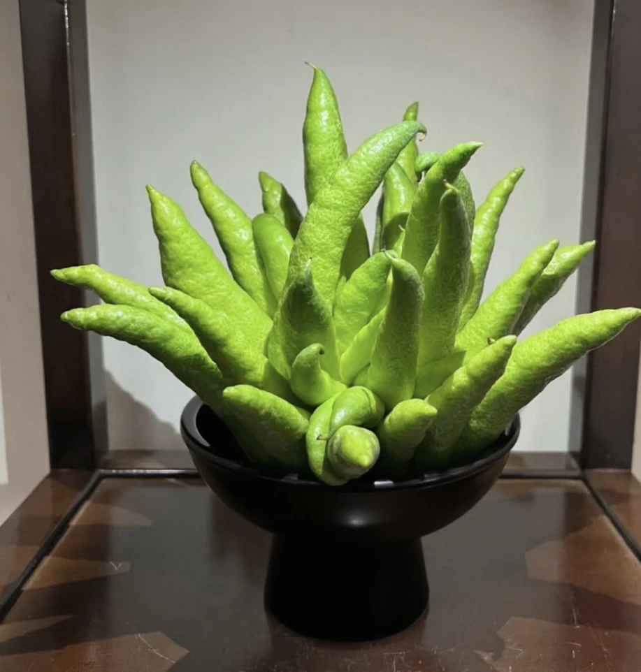 【佛手鲜果佛手柑佛手瓜云佛手香橼茶柑】任意拍两单升级顺丰/京东