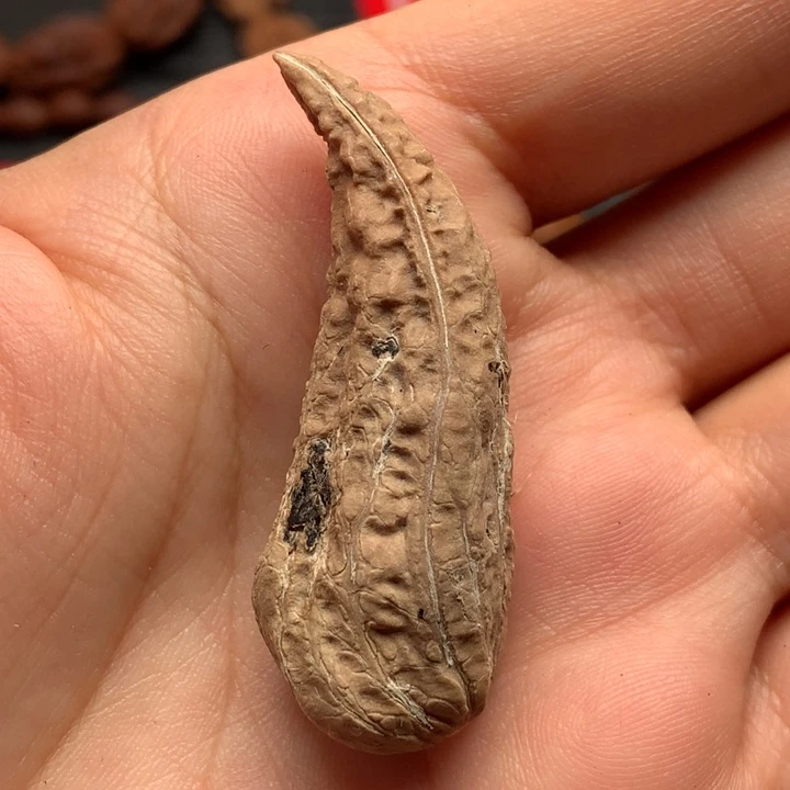手串文玩核桃欣欣611