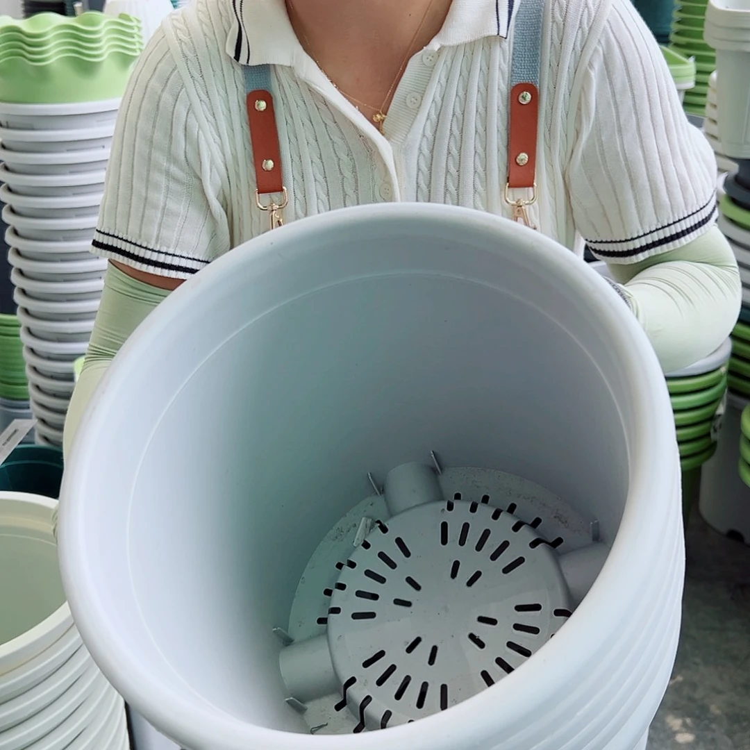 四季盆5#灰白色6个无托