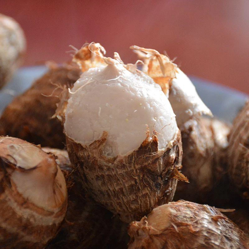 新鲜山东牛奶小芋头粉糯香甜当季现挖农家蔬菜芋艿