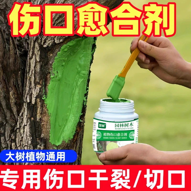 植物伤口愈合剂果树切口修复涂膜剂锯口切口保护膜树皮烂流胶愈伤