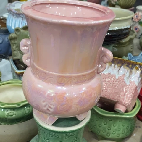 粉色老桩3131331313