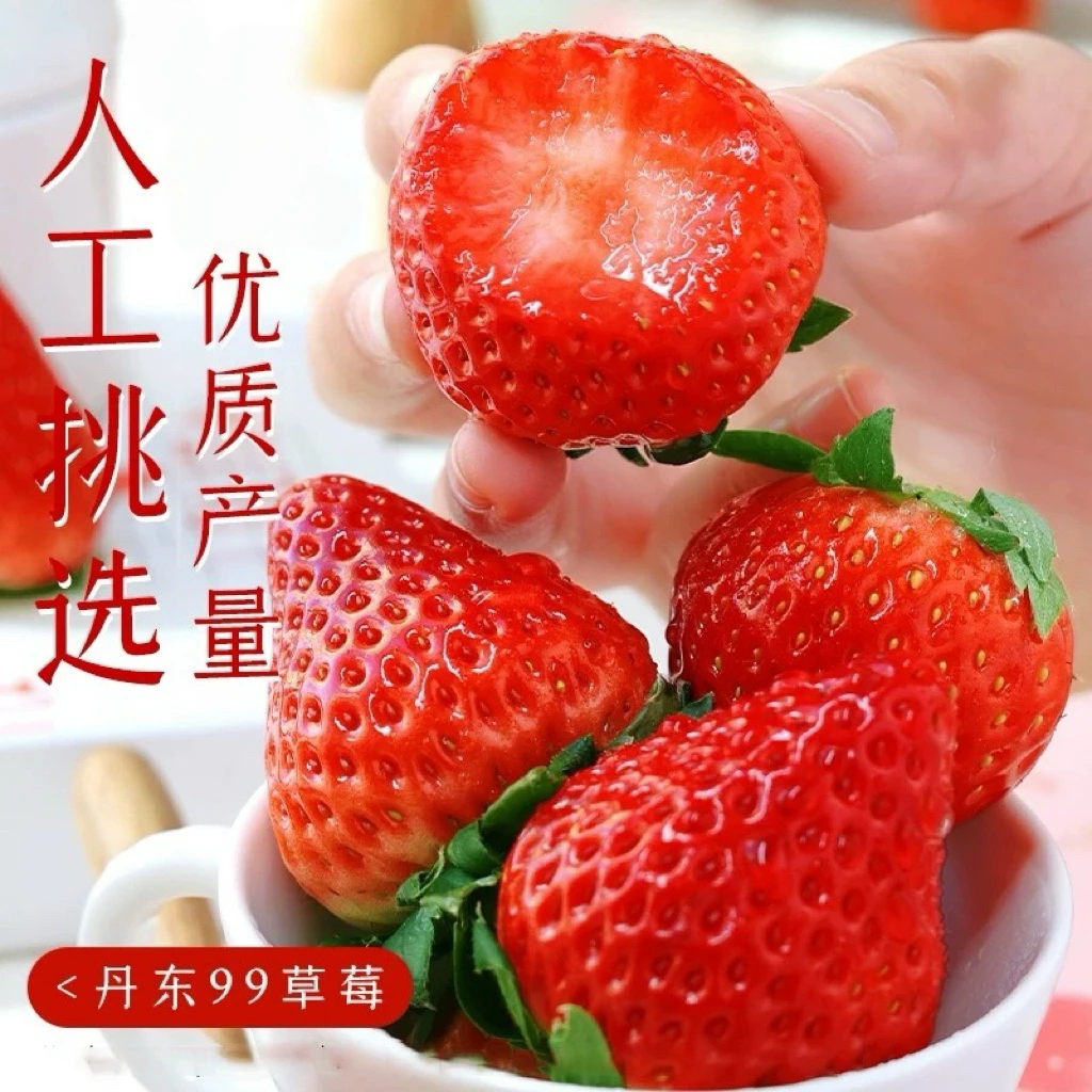 《九九草莓》草莓 丹东九九牛奶草莓 包邮