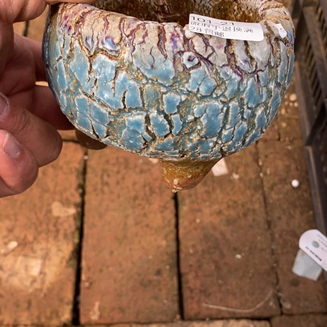 21号花盆内9高9花盆