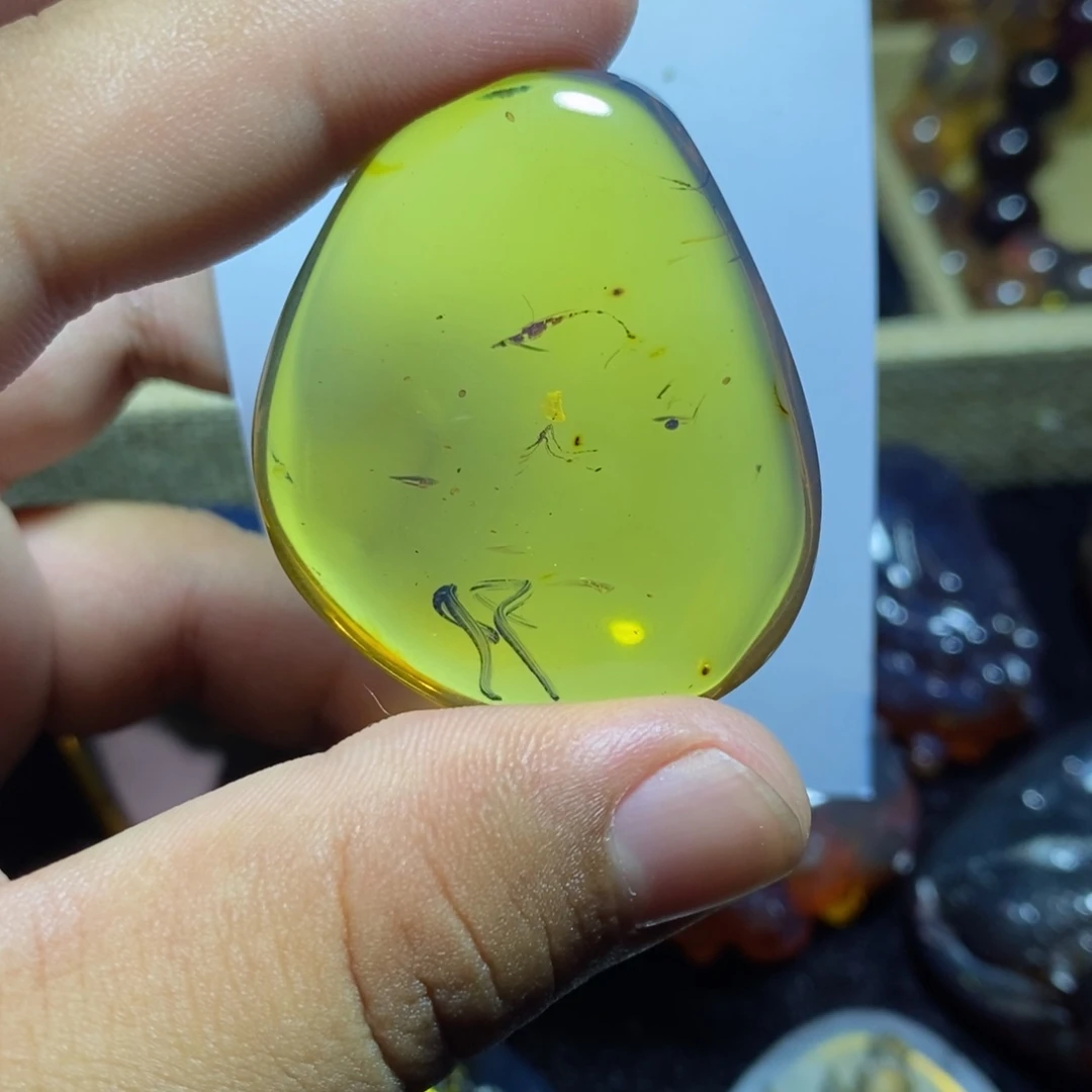 裸石琥珀未镶嵌珀