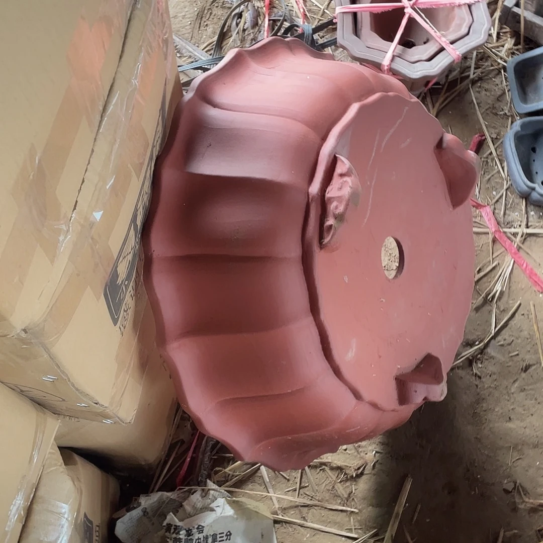 晋****微瑕处理两只莲花