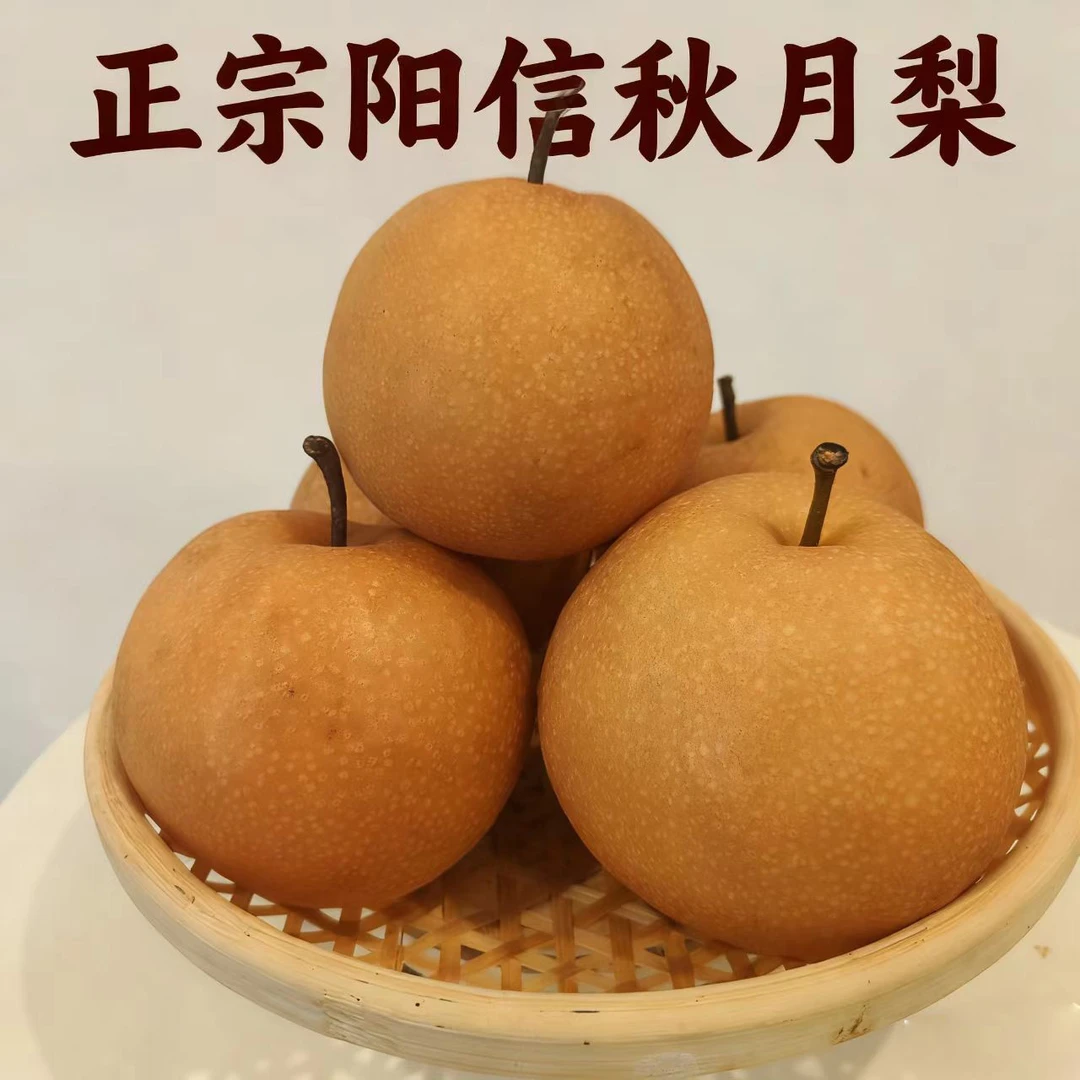 山东正宗阳信秋月梨秋冬季节脆甜多汁当季薄皮酥梨水果中秋送礼