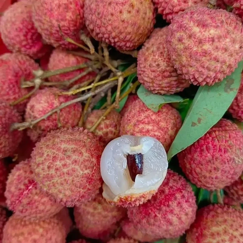 桂味荔枝一份约2斤辽宁省