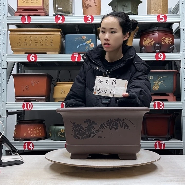 紫砂花盆紫砂花盆