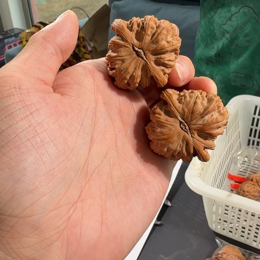 文玩核桃把件11号40mm白狮子