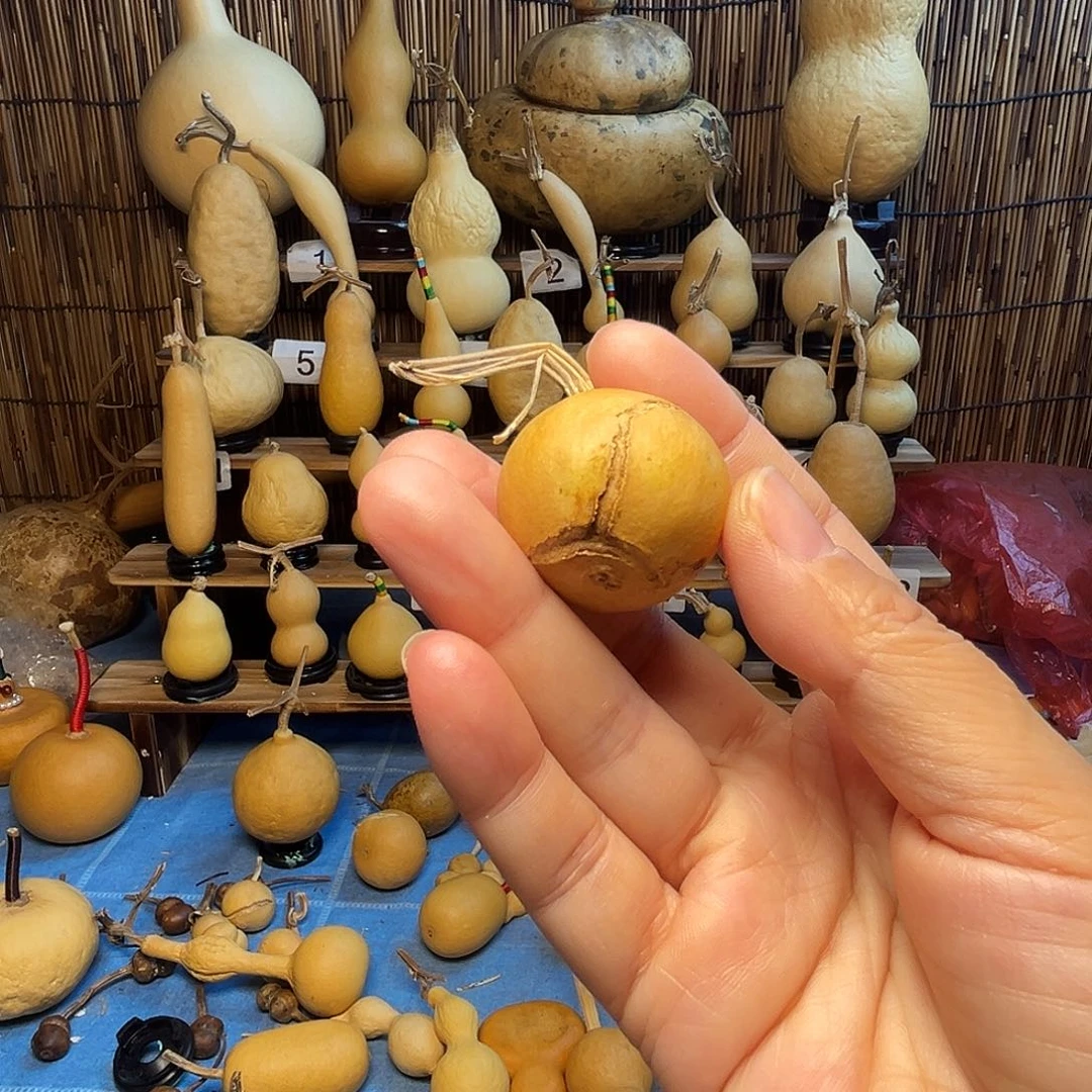 苹果天裂18.8米包邮