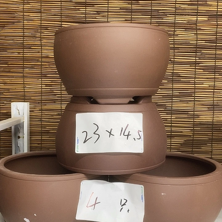 紫砂花盆我在外面
