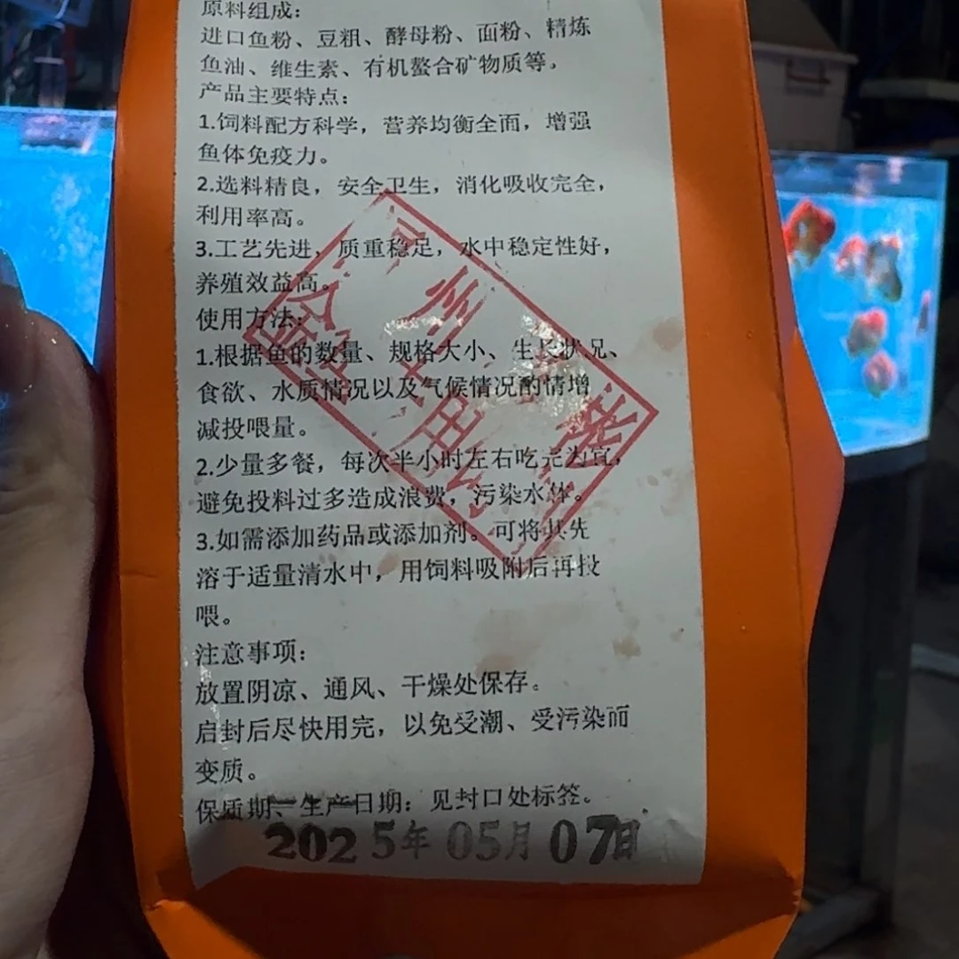 金鱼亚成红白短尾将军狮子