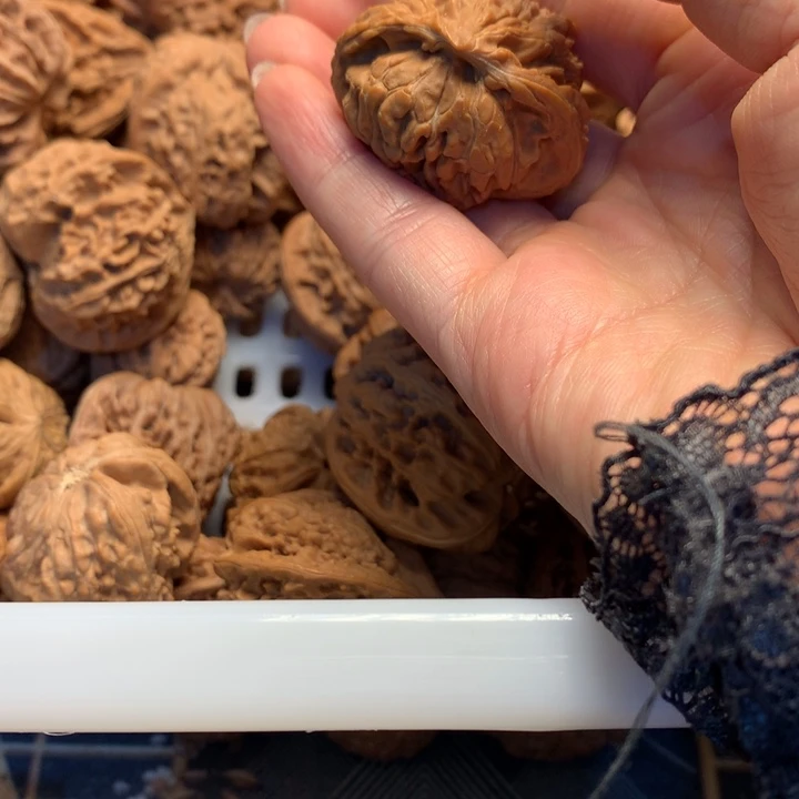 梦***落大叶紫檀（黑酸枝木类）核桃